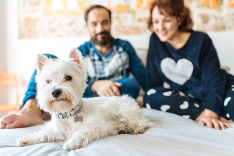 Bien-être : idées de cadeau d'entreprise pour un couple