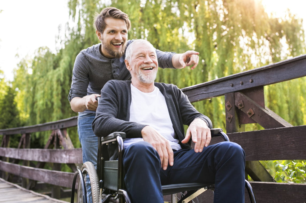 Young hipster son walking with disabled father in wheelchair on wooden bridge at park, pointing finger at something.