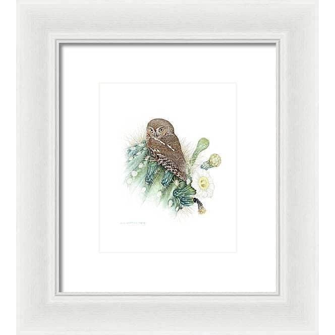 Elf Owl - Framed Print