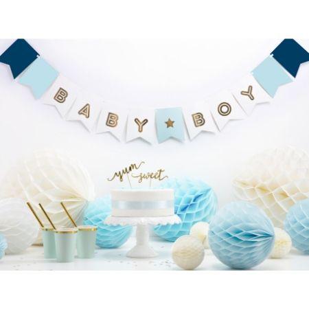 baby boy shower plates