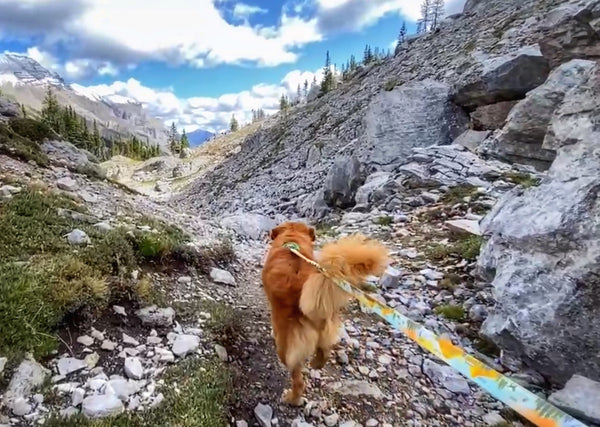 Galatea Lakes Hike, Kananaskis, Alberta