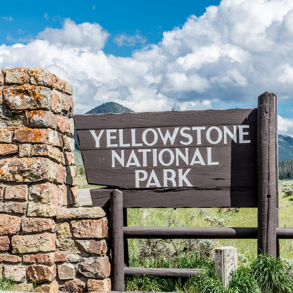 Canva Yellowstone National Park Sign