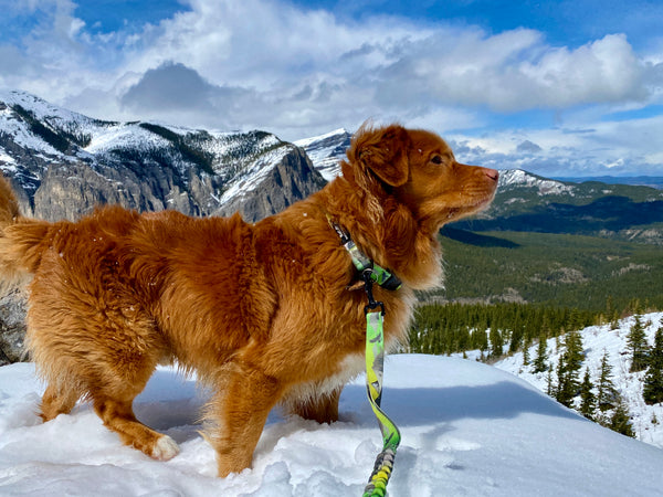 Ravens End Hike, Kananaskis, Alberta