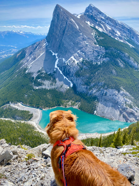 EEOR Hike Kananaskis, Alberta