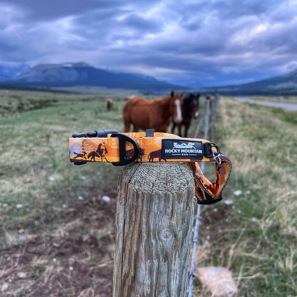 Rocky Mountain Dog Yellowstone All Mountain Leash