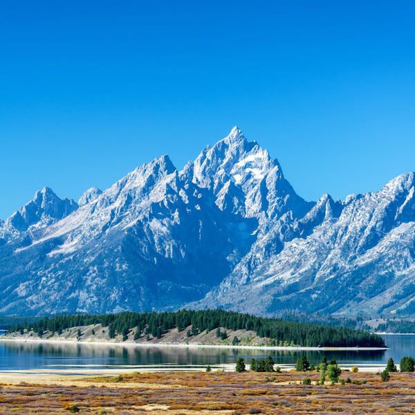 Canva Yellowstone National Park Image