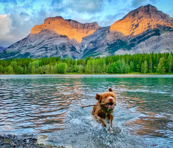 Wedge Pond Hike Kananaskis, Alberta