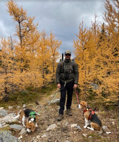 Chester Lake Hike, Alberta