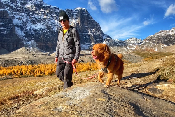Man with dog Hiking, Alberta