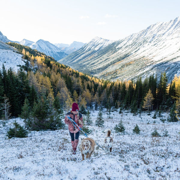 hiking ptarmagin cirque in snow female and dog in kananaskis alberta