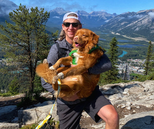 hiking tunnel mountain banff alberta with a dog