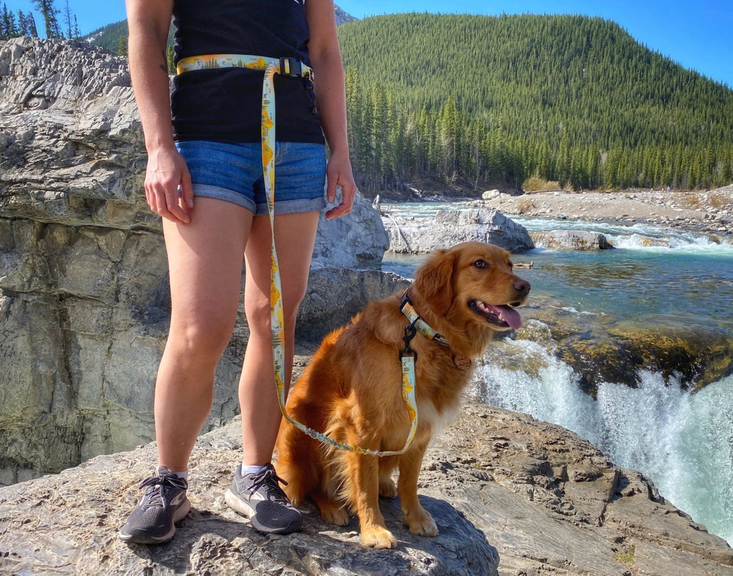 Adventure Gear for Dogs & Their Owners | Rocky Mountain Dog