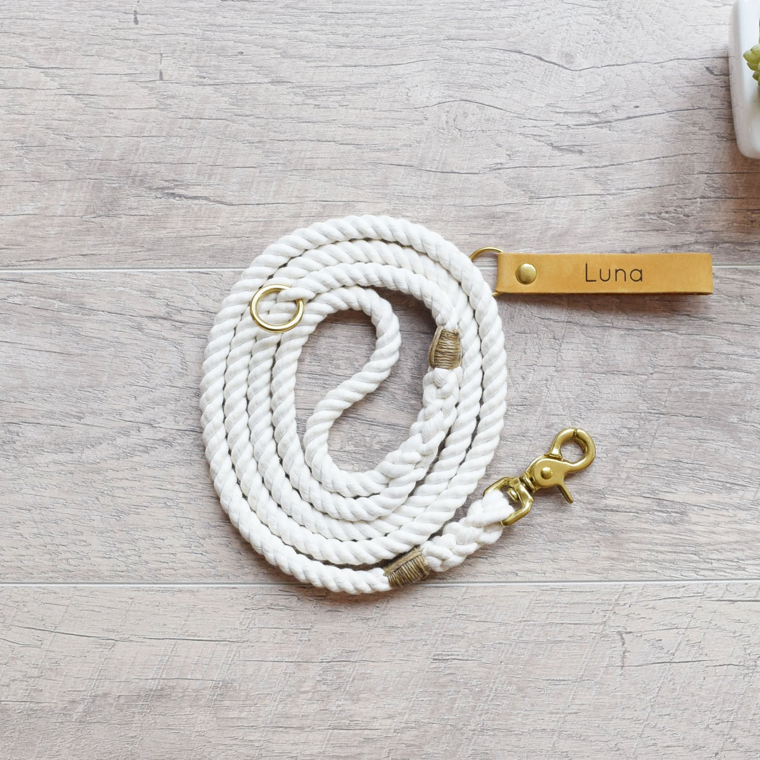 rope dog leash