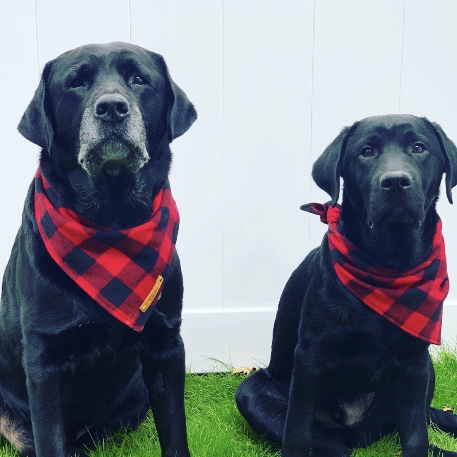 buffalo plaid dog scarf