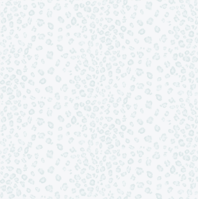 Seamless Leopard Print PNG + SVG Pattern Overlay — drypdesigns