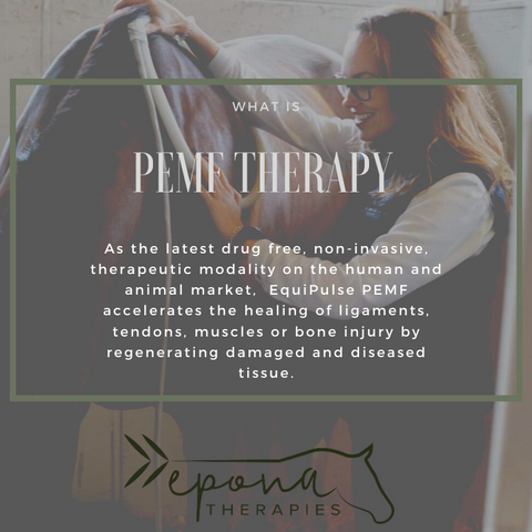 Epona Therapies PEMF Therapy treatment 