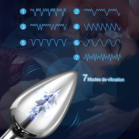 Plug anal 7 modes de vibration-Le Royaume Du Plug