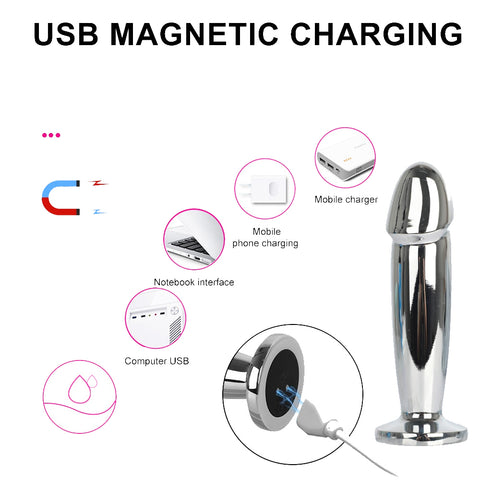 Recharge USB du plug anal vibrant en métal-Le Royaume Du Plug