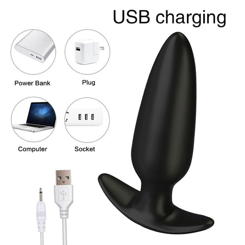 Recharge USB du plug anal vibrant en silicone-Le Royaume Du Plug