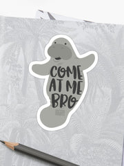 Come at me bro sticker from Red Bubble, what to pack for road trips, road trip snacks, packing for a roadtrip, family roadtrips