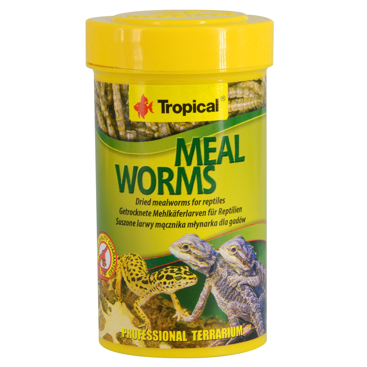 Tropical Freeze Dried Bloodworms