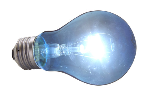 zoo med blue light bulb