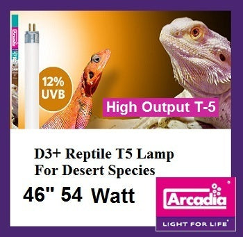 t5 reptile bulb