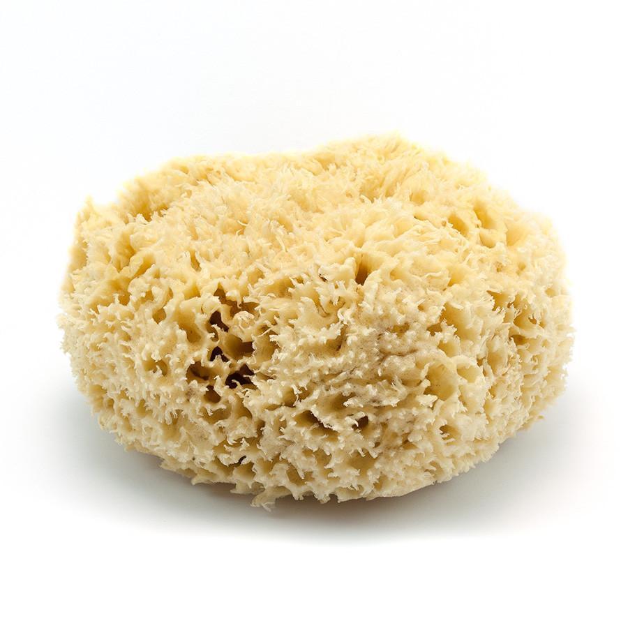Natural Sea Wool Sponge - Serendipity Skin Care