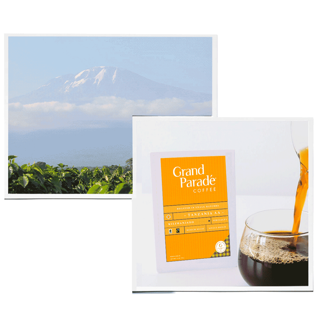 Tanzania AA Mount Kilimanjaro Medium Roast Whole Bean. Fresh Roasted Coffee