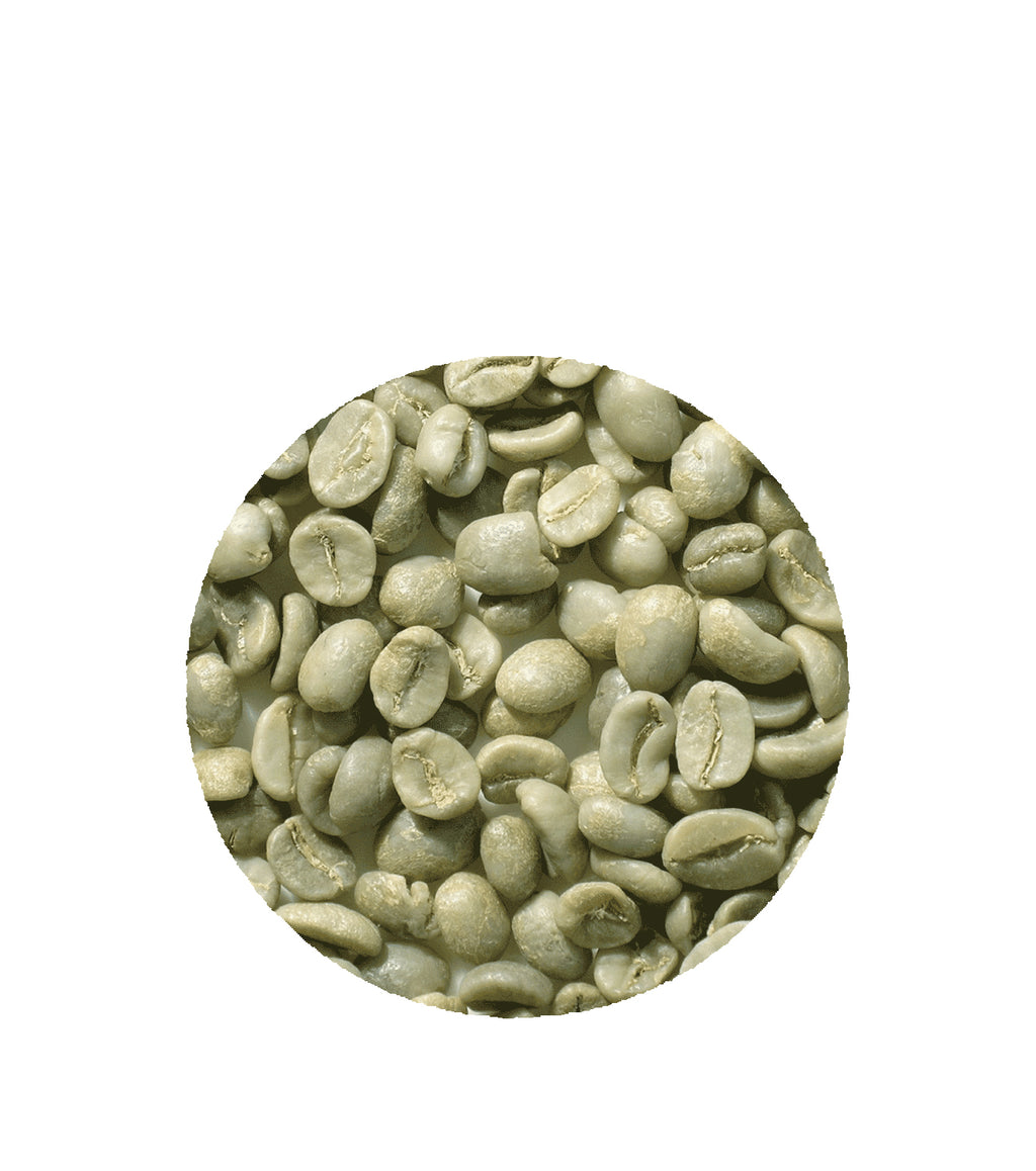 Organic Mexico Chiapas Shg Ep Grand Parade Coffee Grand Parade Coffee 