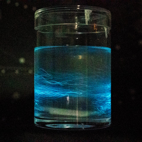 bioluminescent PyroDinos in a jar homegrown 