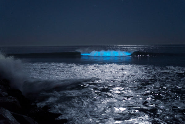 Oceanside north jetty biolumiencence