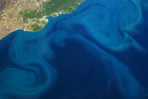 ocean tides with phytoplankton