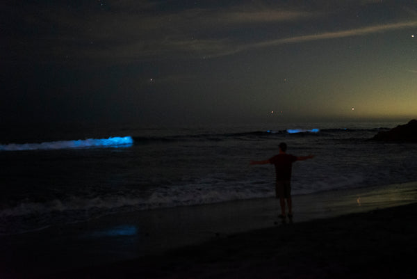 PyroFarms founder and CEO Dean Sauer on bioluminescent beach 