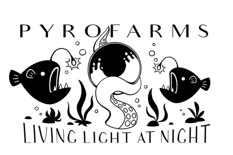 Living Light at Night design