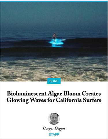 What's causing California's ocean waves to glow?