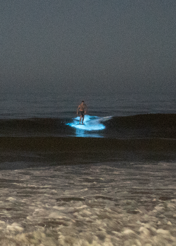 Sufer in bioluminecence moonlight beach california