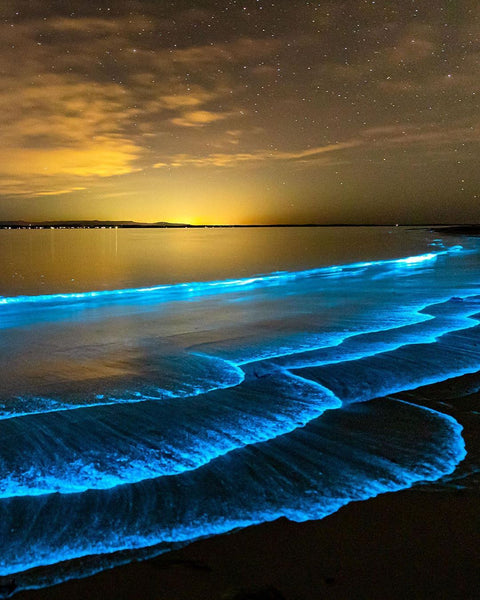 Jervis Bay, Australia: Jervis Bay is a popular destination for tourists and locals interested in observing bioluminescence in the ocean