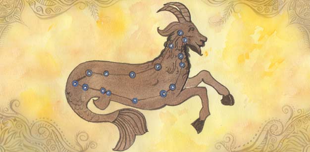 Capricorn Sign Painting in Vedic Astrology