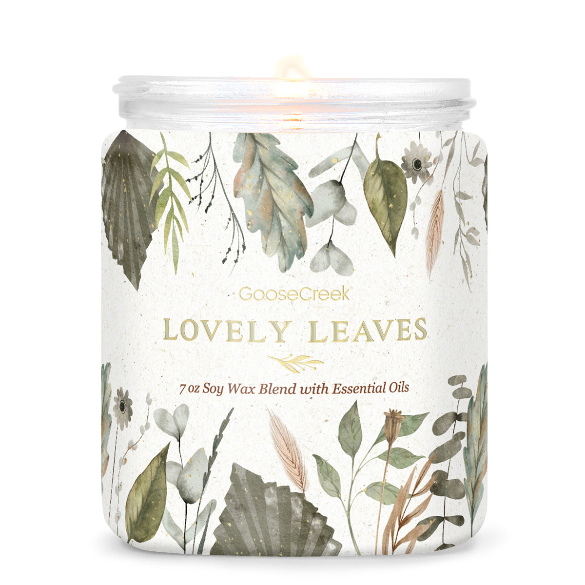 Whip Appeal: Mahogany Teakwood Scented Candle – Wick and Glow