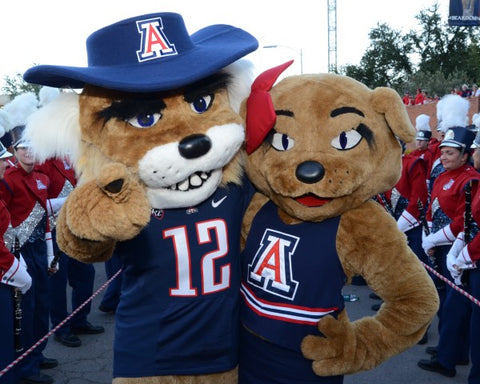 Arizona Wildcats