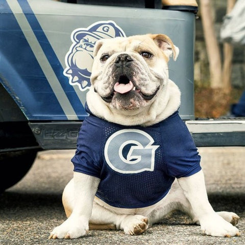 Georgetown Hoyas