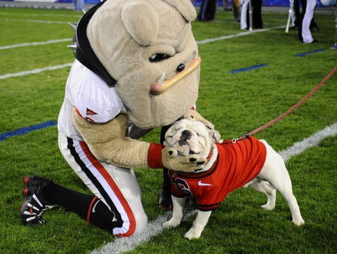 Georgia Bulldogs