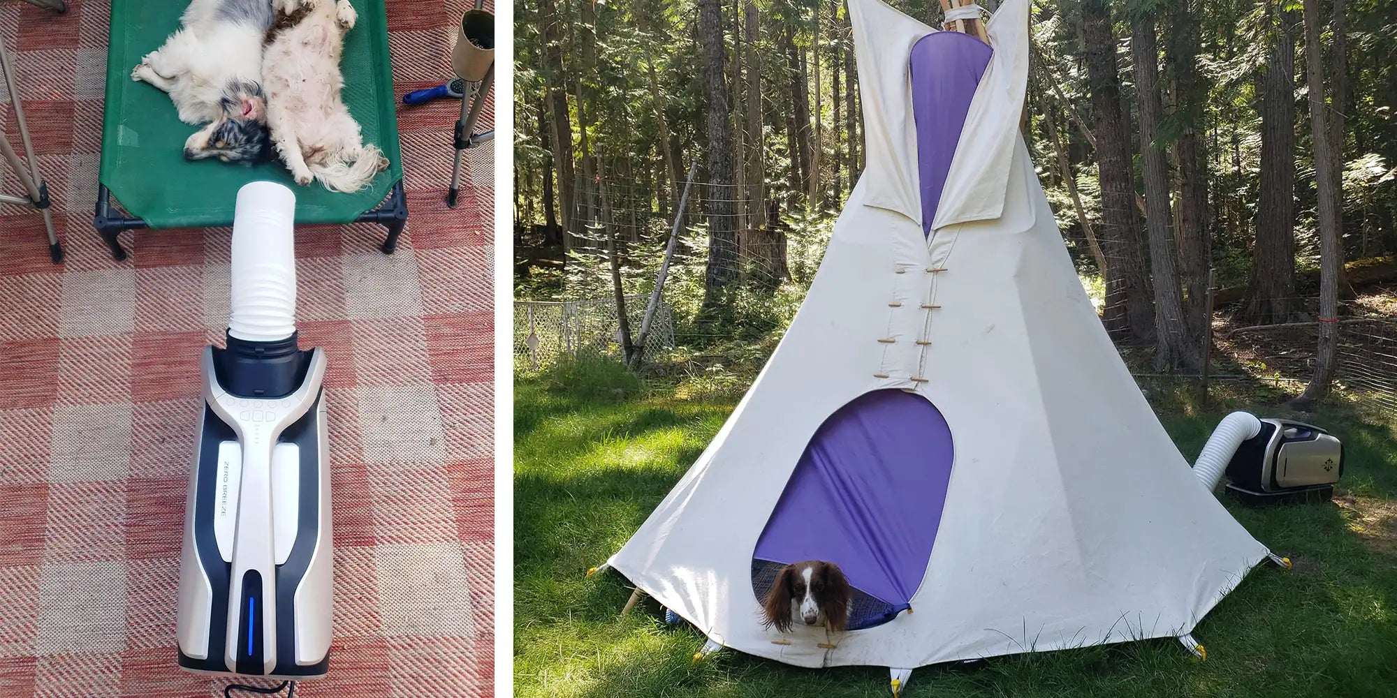A split image shows two scenes: on the left, two dogs relax on a raised cot with the Mark 2 pointed toward them; on the right, a dog lies comfortably inside a stylish white and purple teepee tent in a wooded outdoor setting, with the Mark 2 nearby.