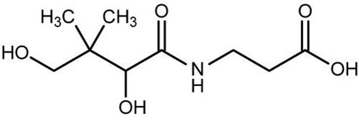 runner vitamin b5 panthothenic acid