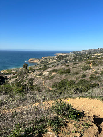 view from Palos Verdes