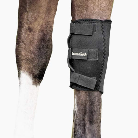 Therapeutic Horse Knee Boot – Equimeds