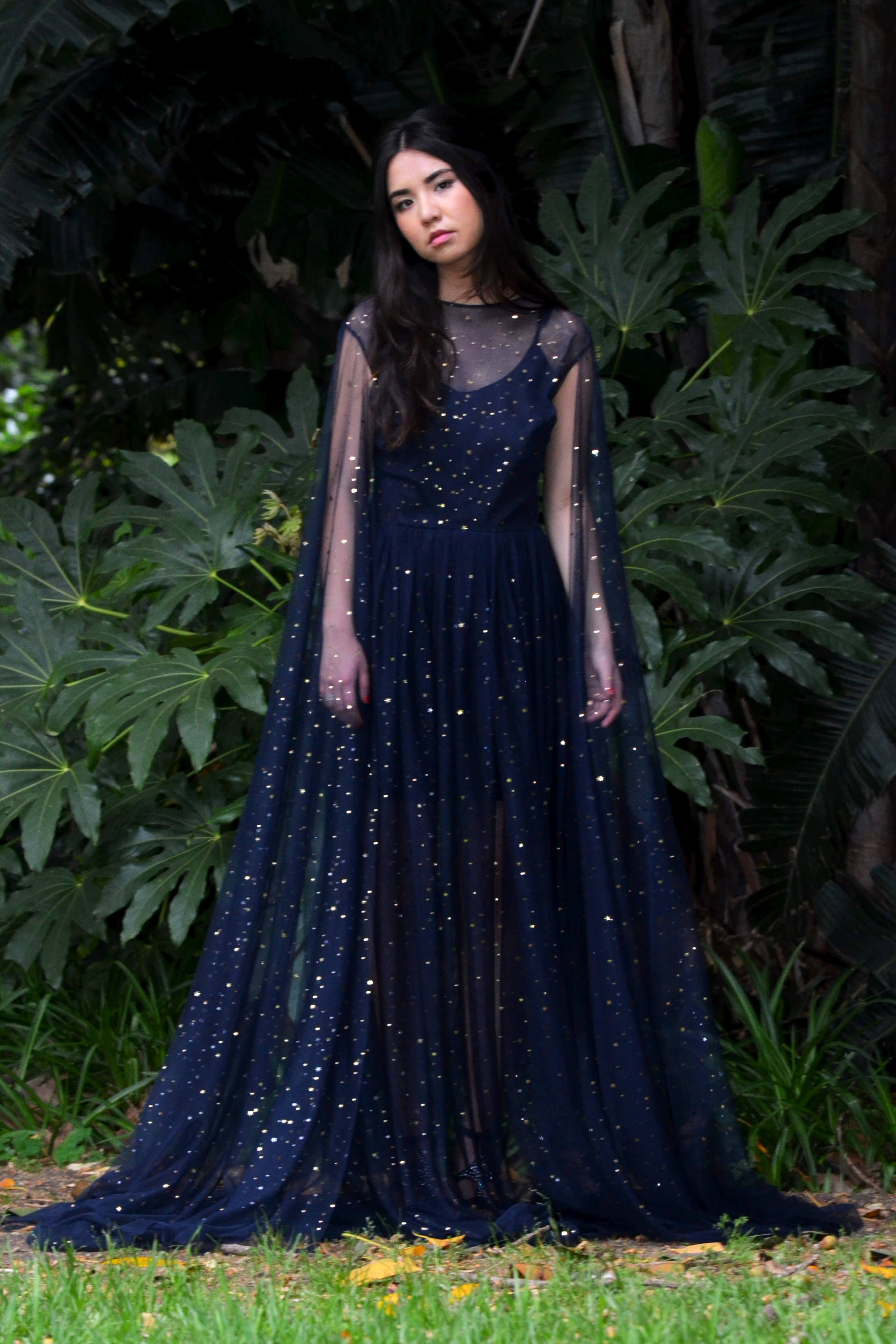 a starry night dress