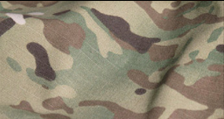 Multicam