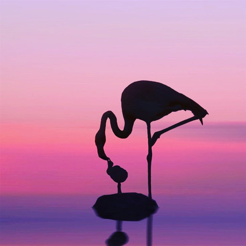 Instinct Maternel Flamingo Paradise